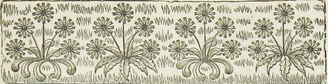 Call for Participation